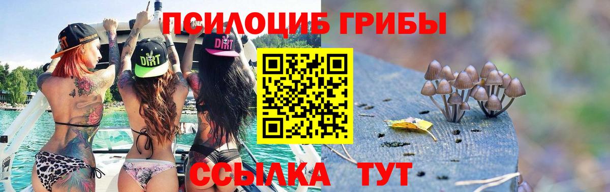 Галлюциногенные грибы Psilocybine cubensis  Вход с VPN  как найти закладки  Псилоцибиновые грибы MAGIC MUSHROOMS  Еманжелинск 