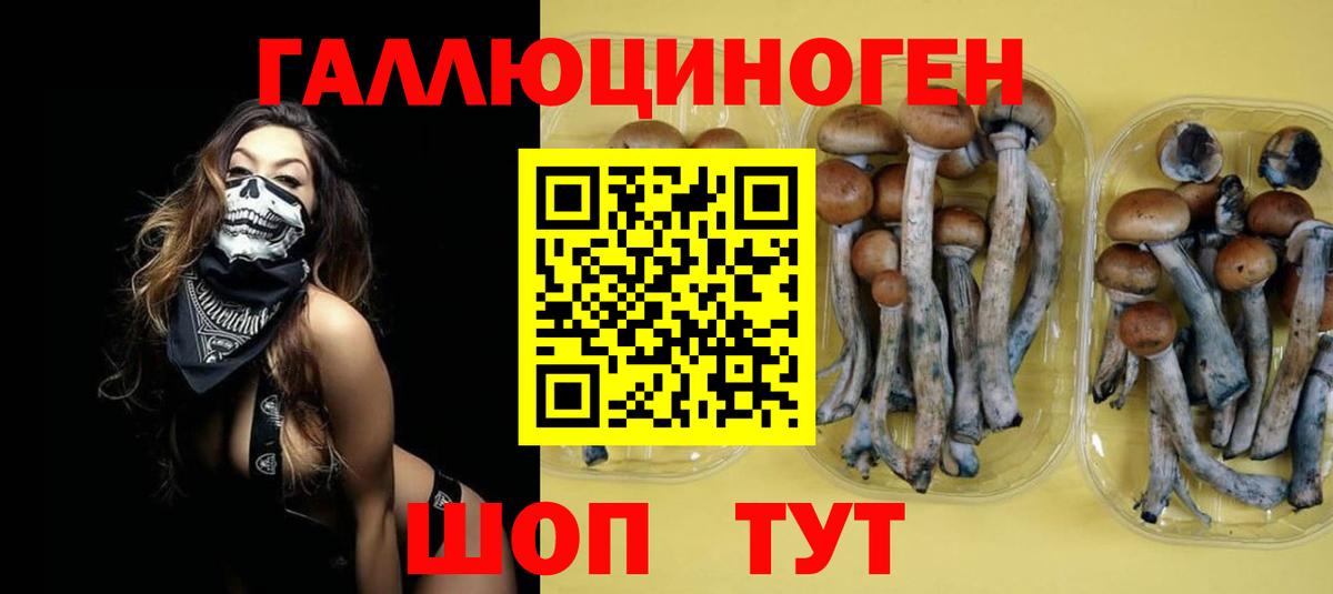 Псилоцибиновые грибы прущие грибы Еманжелинск